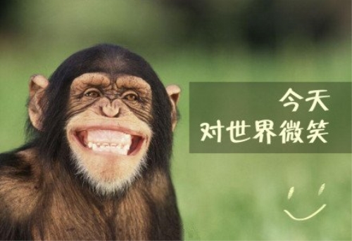 串串香加盟